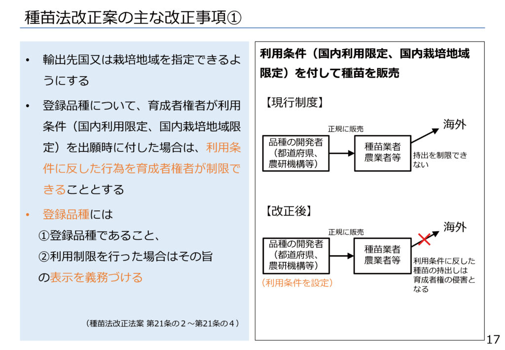 種苗法改正案の主な改正事項①