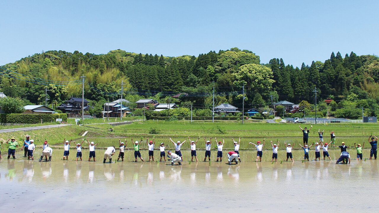 千葉県いすみ市　田植えのイメージ