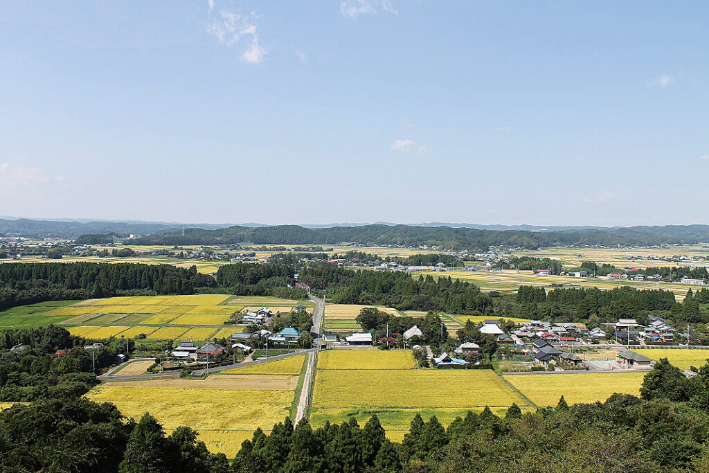 千葉三大米のひとつ「いすみ米」が生産される圃場が広がる里山の風景。
