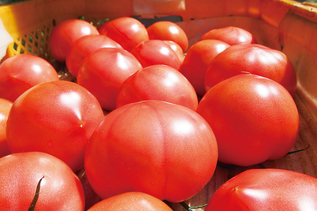 綺麗に並べられたトマトは艶々と輝いていた