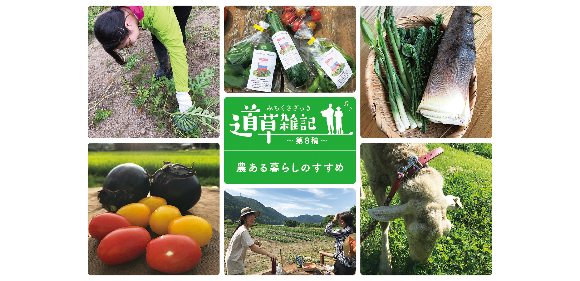 道草雑記】農ある暮らしのすすめ｜産直コペル