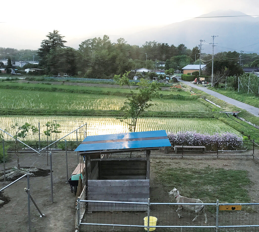 夏の伊那谷風景